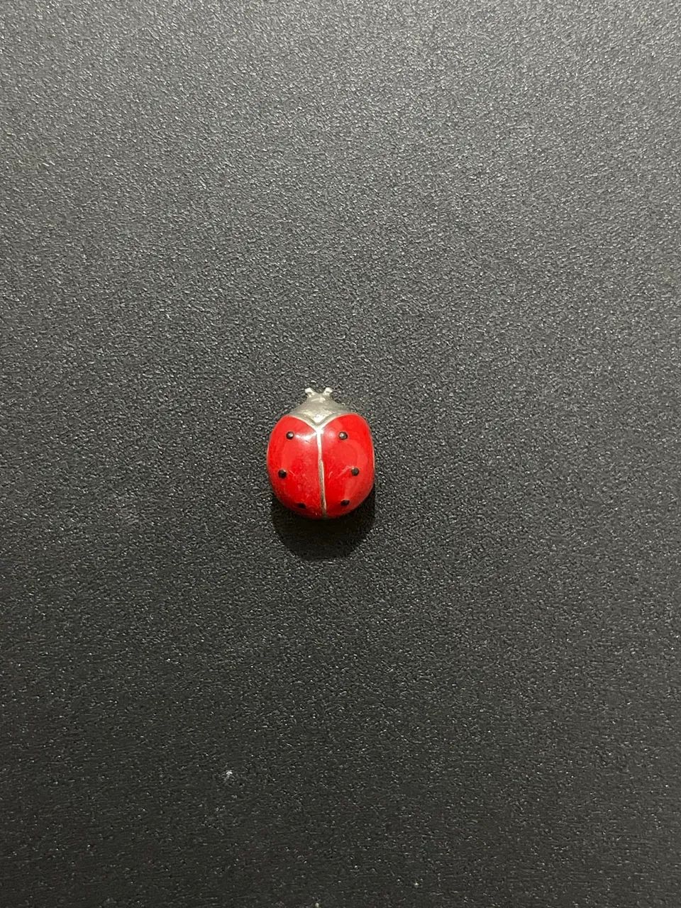 pingente charm pulseira live vivara joaninha