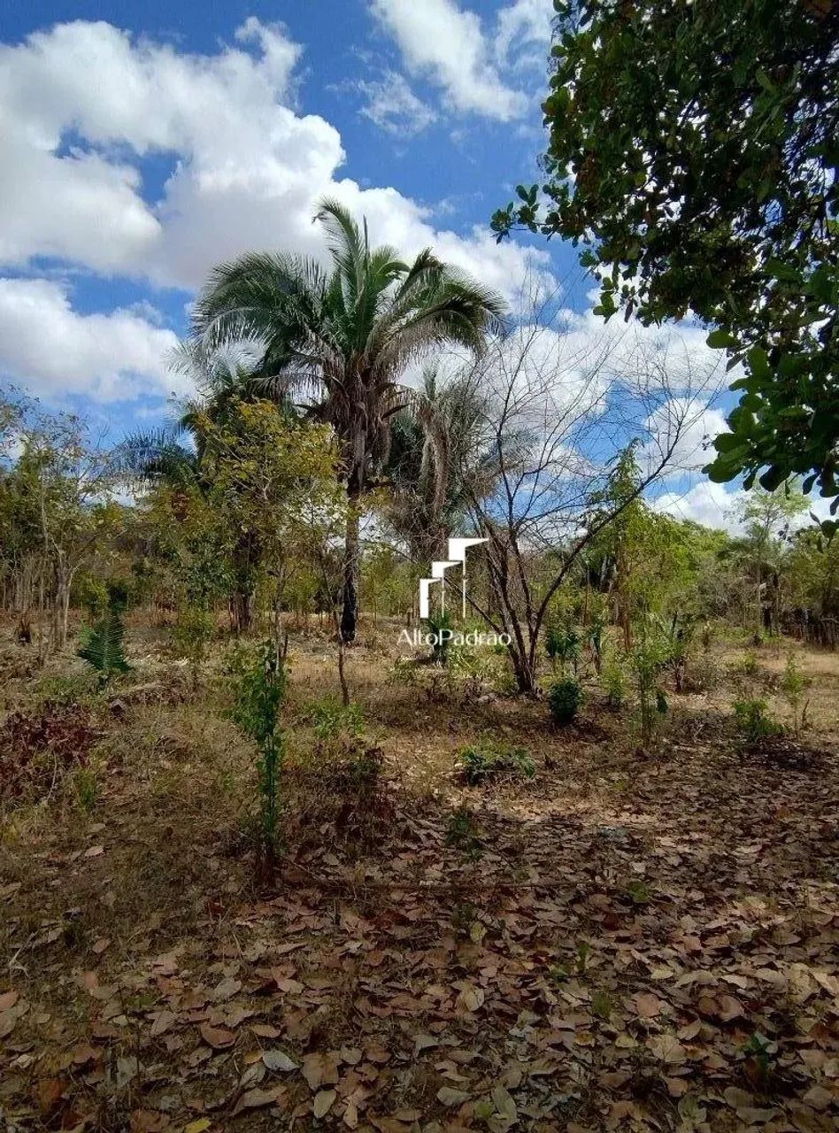 Terreno à venda - Comunidade Glória /MA - Foto 5