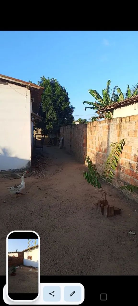 Casa toda murada - Foto 3