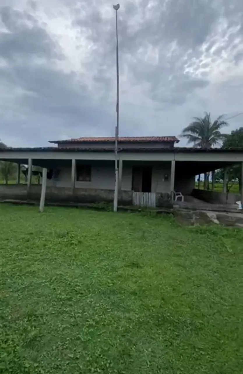 Fazenda c/ 700 hectares. - Foto 3