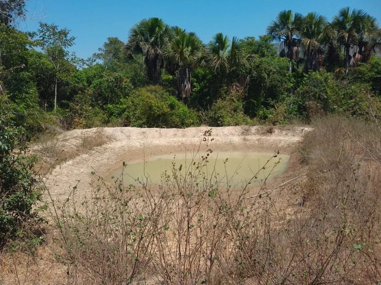 Fazenda em Silvanópolis -86 alqueires - Foto 3