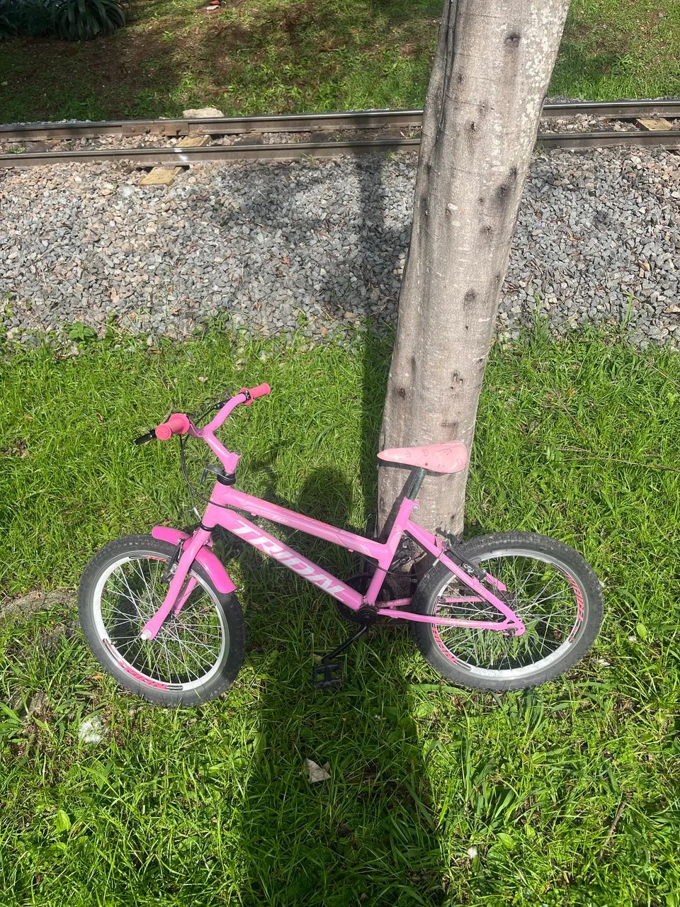 Bicicleta infantil feminina tridal