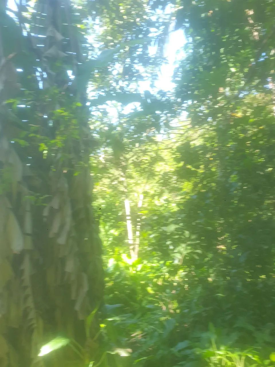 Venda ou troca  - Foto 5