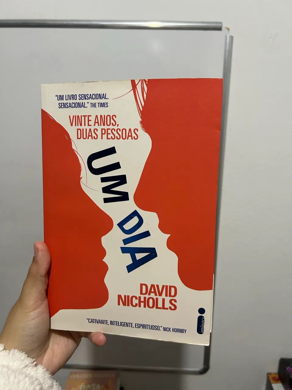 livro: um dia  autor: david nicholls