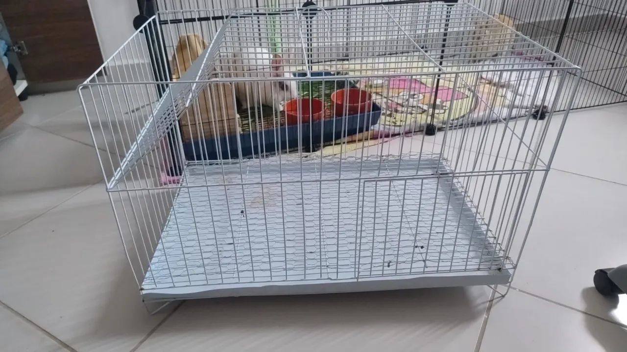 Mini coelhos +ítens 