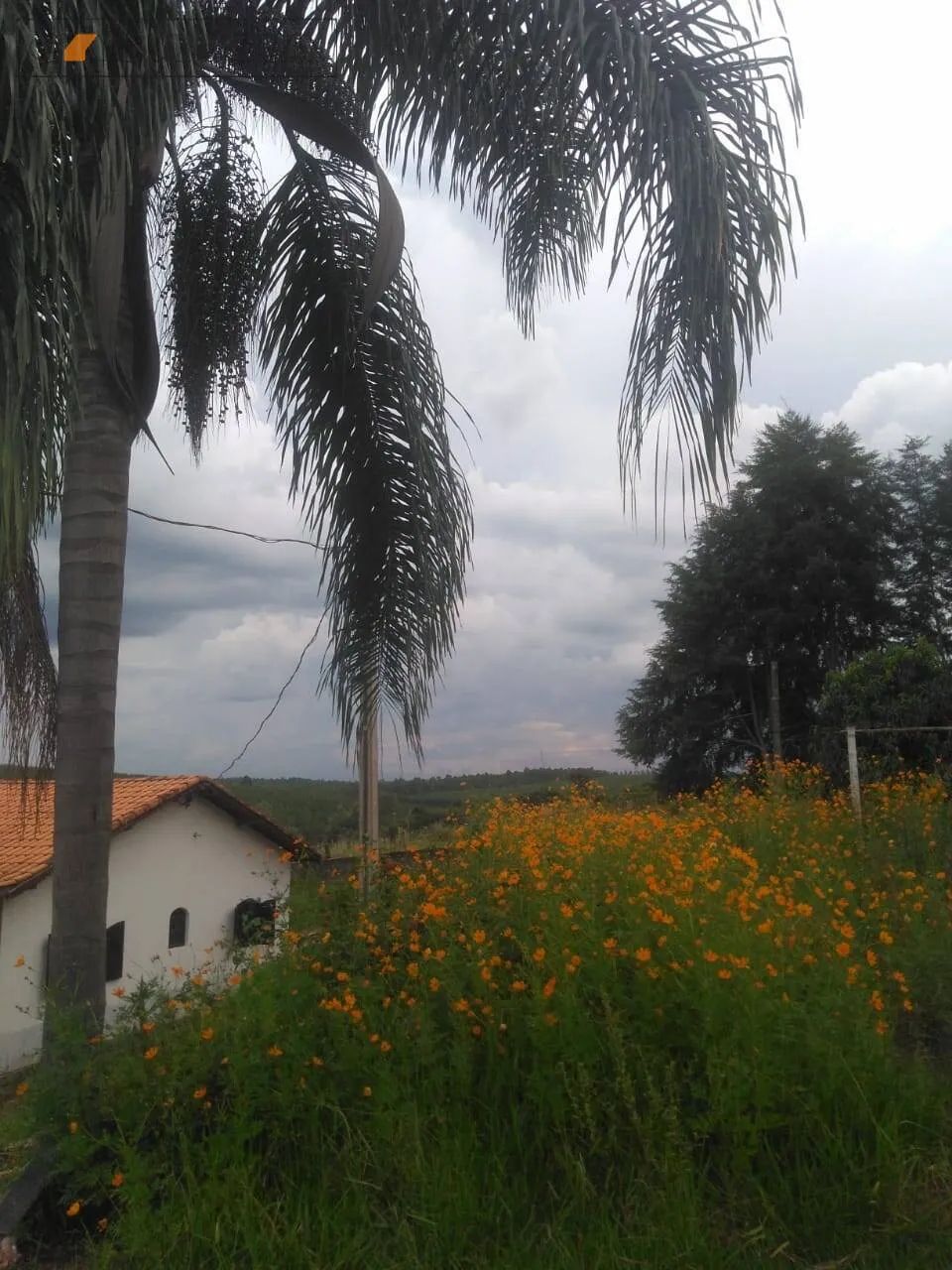 Sitio com 12 mil m² de terreno em Bofete-SP - Foto 3