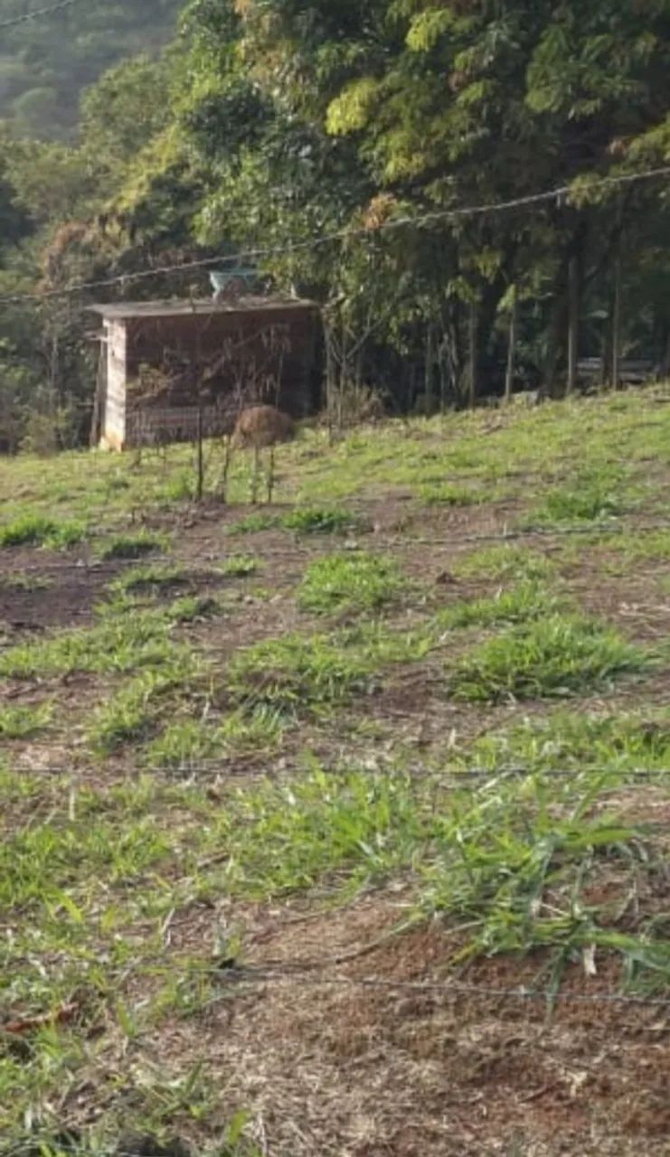 Vendo excelente granja 