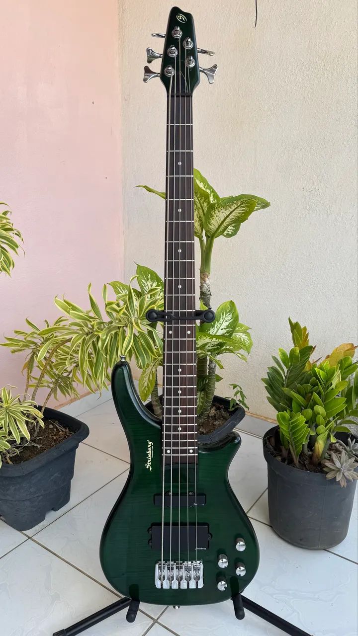 Baixo Strinberg 5c - Foto 3