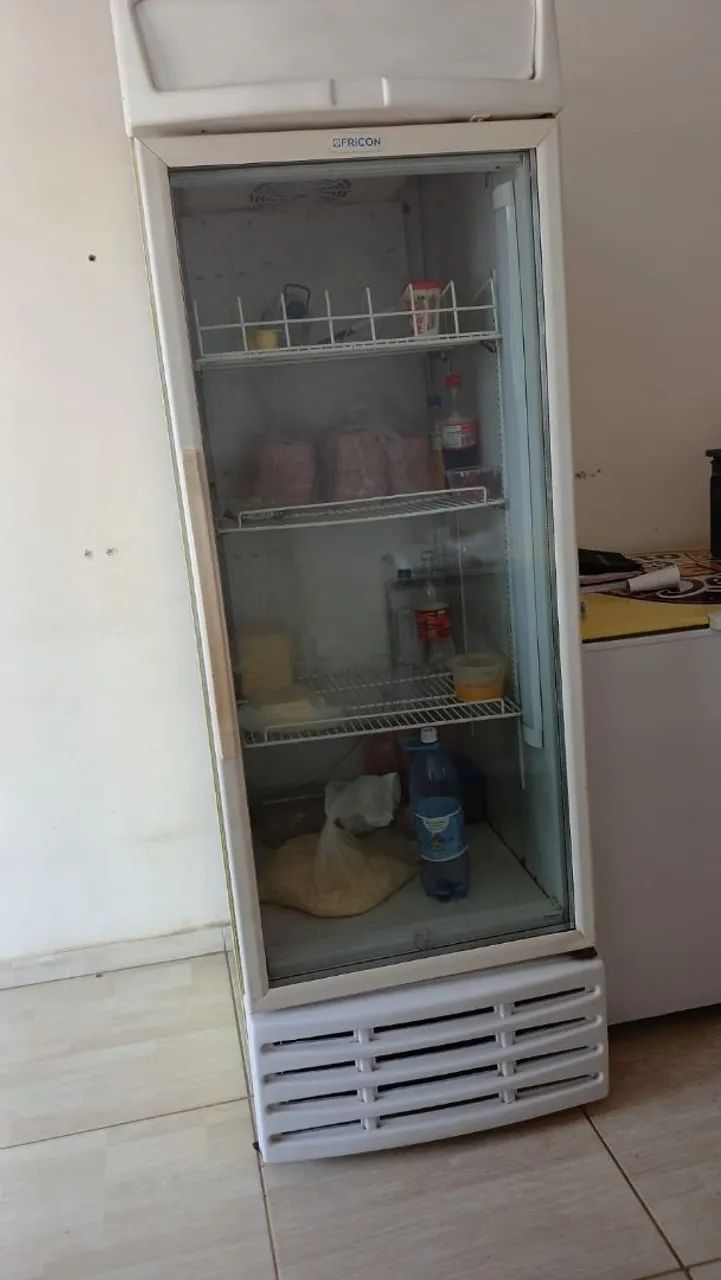 Freezer vertical
