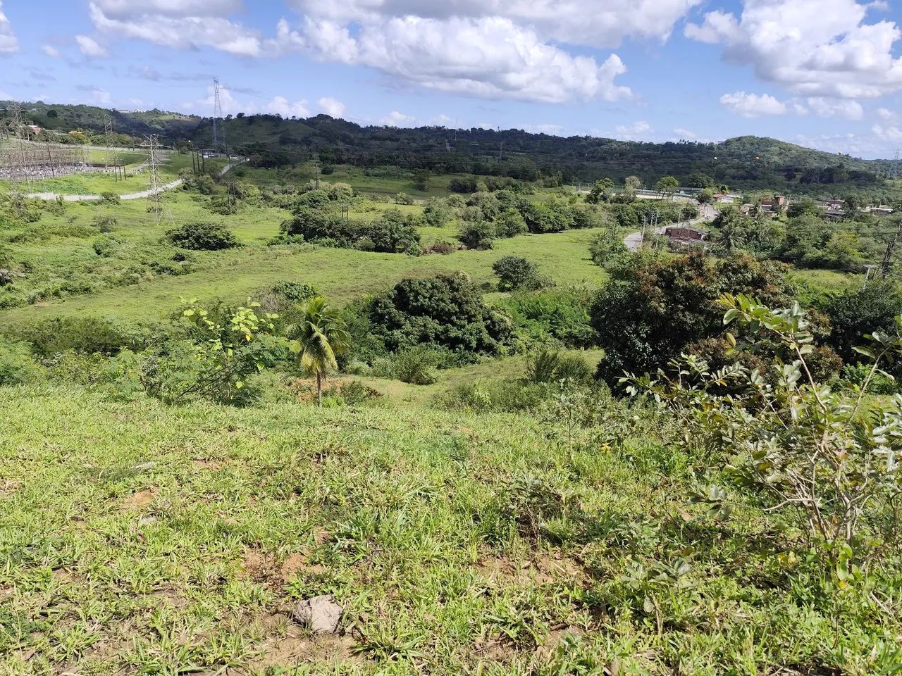7 tarefas de terra em Cotegipe  - Foto 3