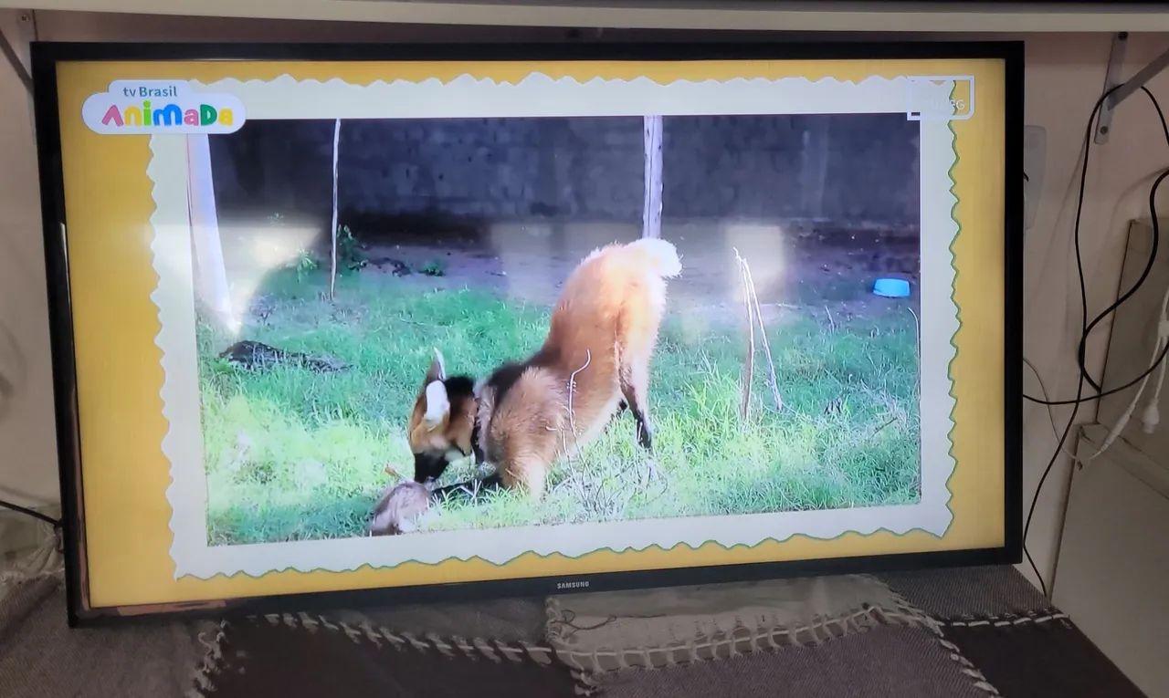 TV Samsung LED comum 40 Polegadas em perfeito estado - Foto 3