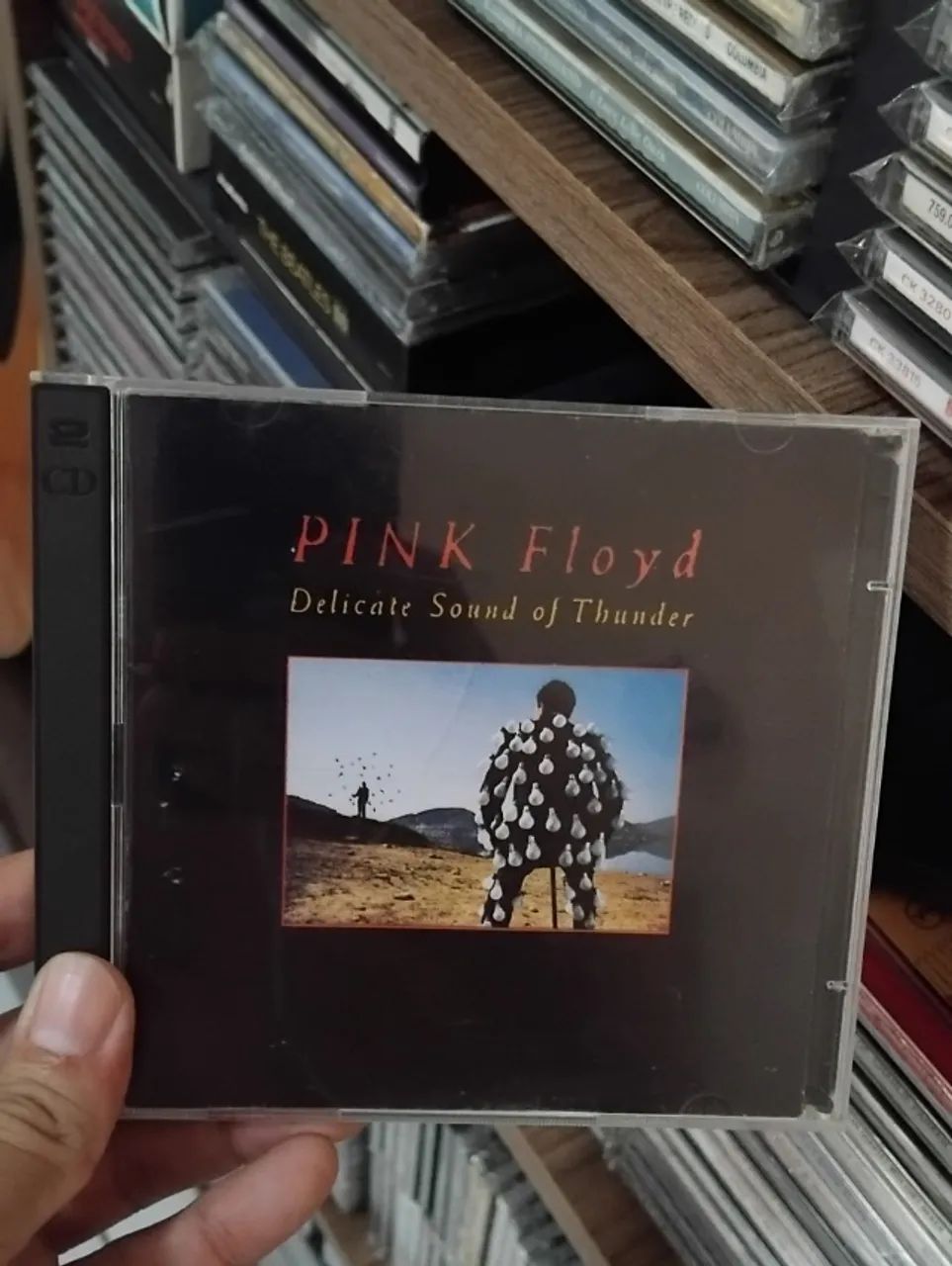 Pink Floyd Cd Duplo: Delicate sound of thunder - CDs, DVDs etc