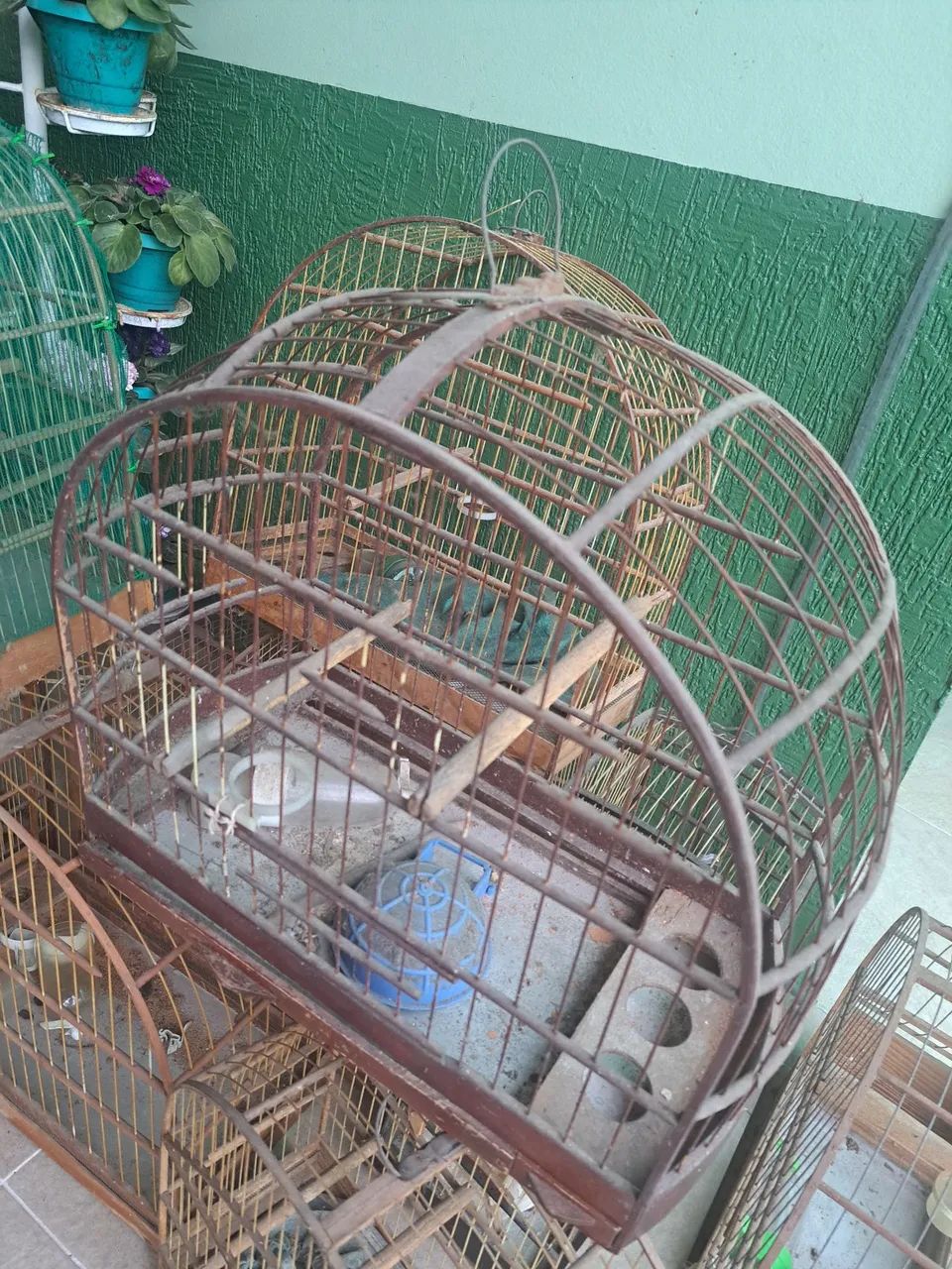Gaiola Passarinho - Foto 3