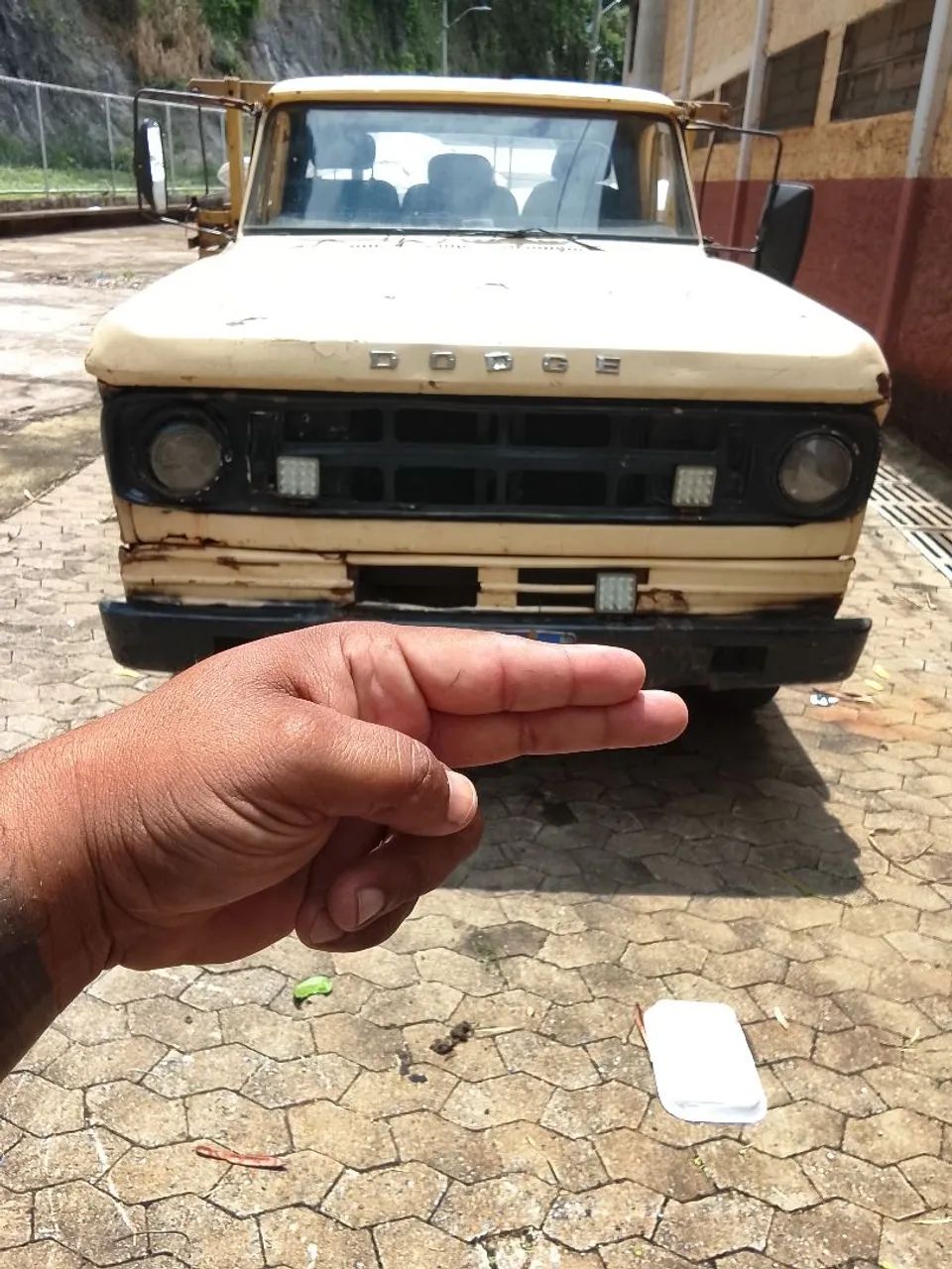 Dodge 