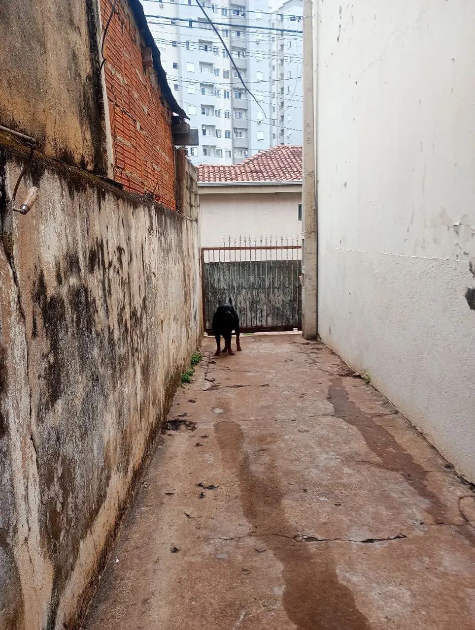 Caos pra segurança - Foto 3