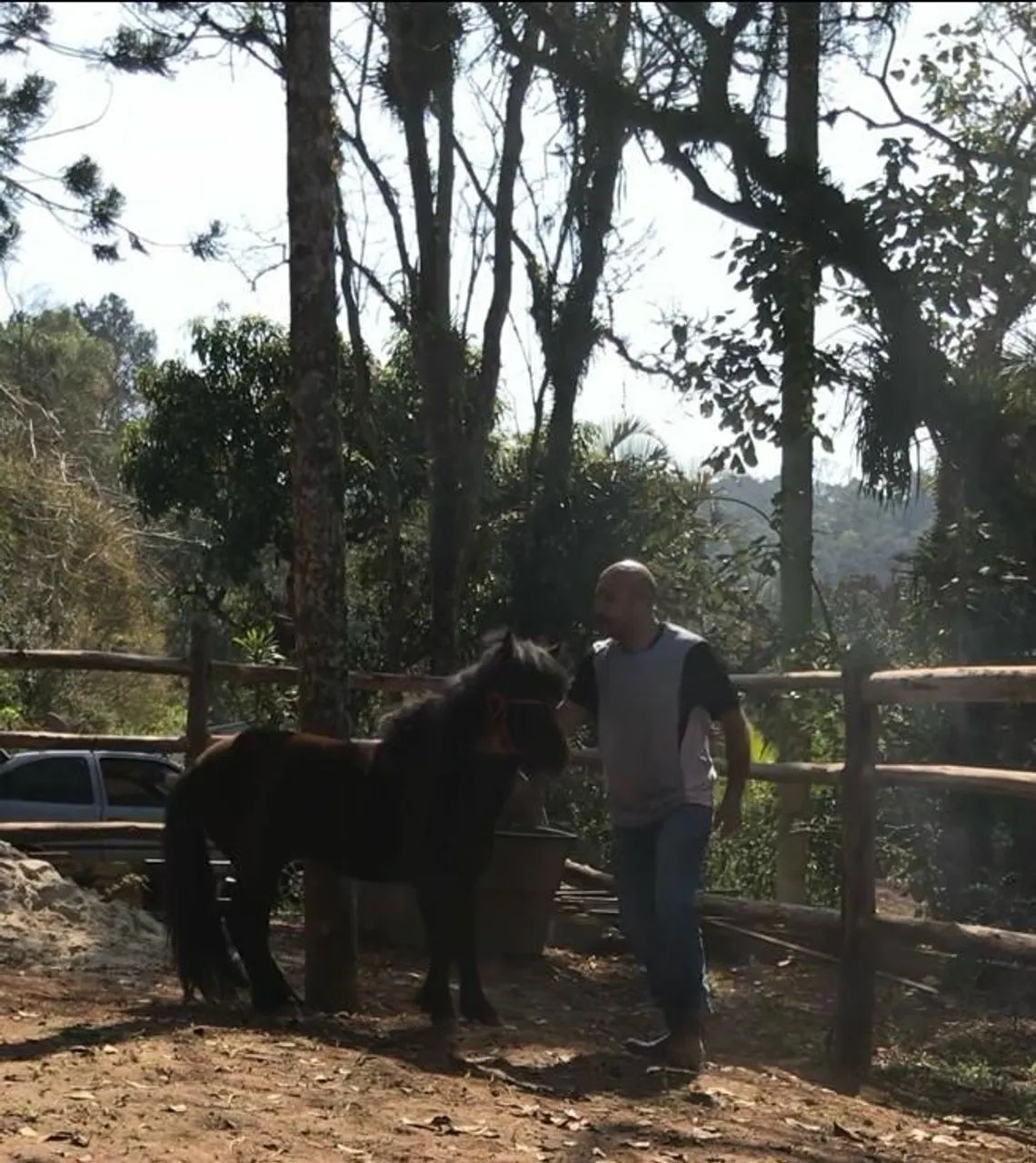 Vende-se Cavalo Manga Larga e um Pônei, castrados,12,000 os dois - Foto 2