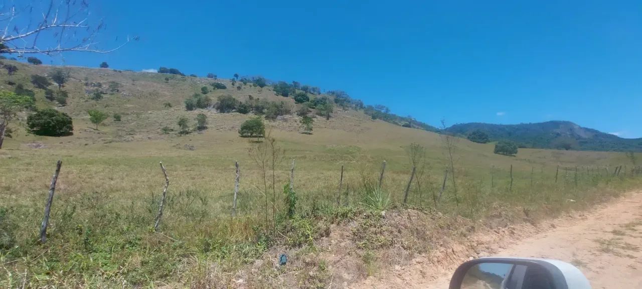 Fazenda à Venda Em Capela - Foto 5