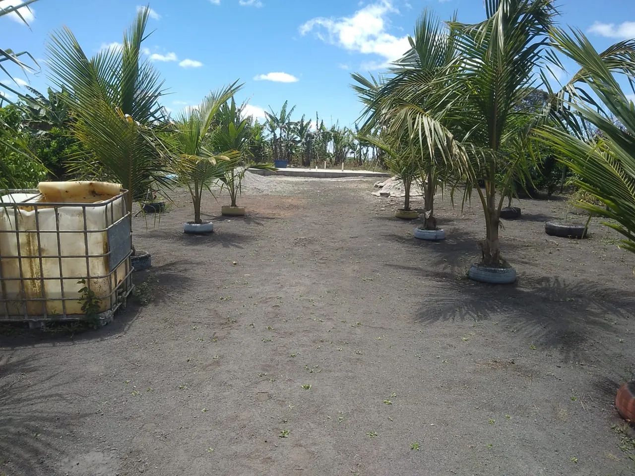 VENDE-SE SITIO - Foto 2