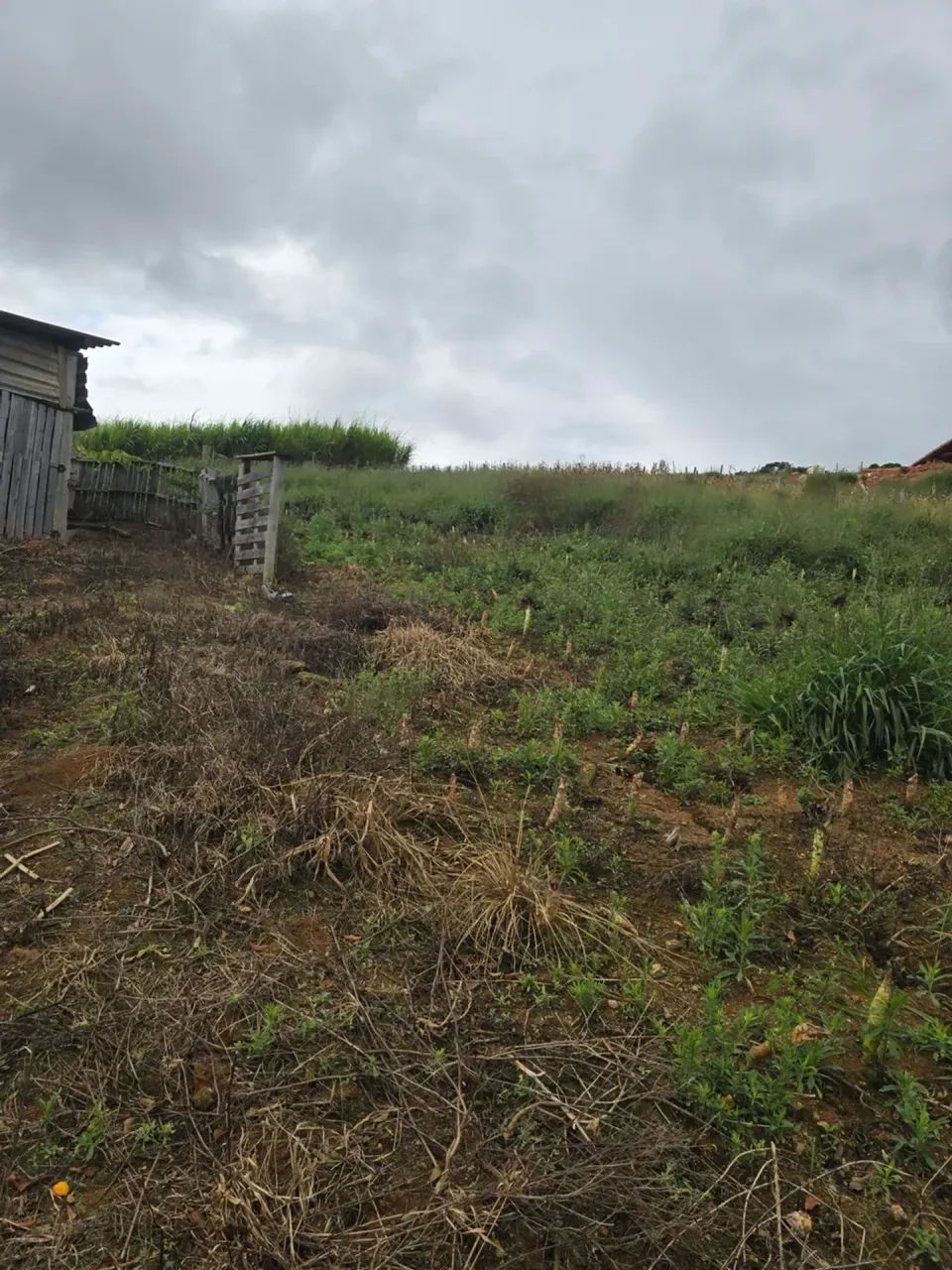terreno  em Itapeva-MG  com 24 mil metros e nascente - Foto 5