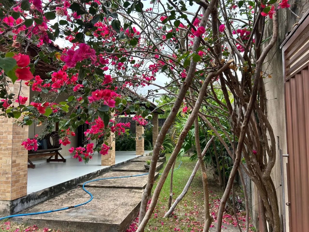 Próximo à praia de panaquatira e ponta verde  - Foto 2