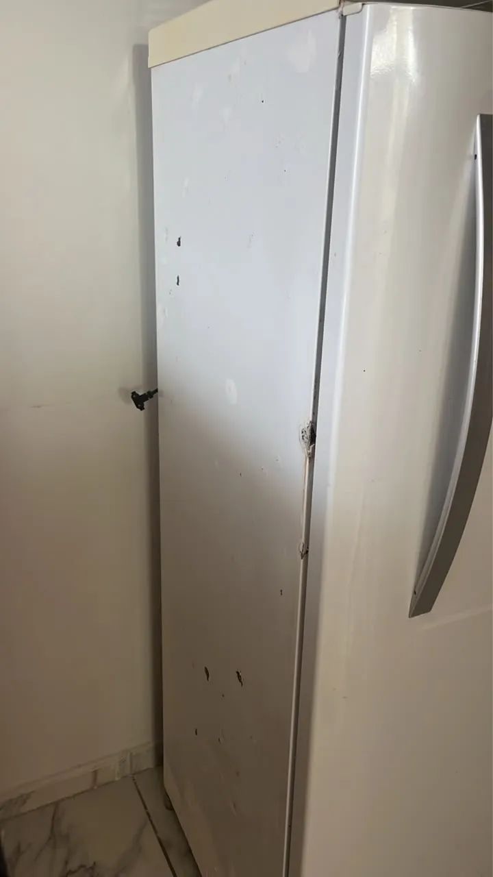 Geladeira Electrolux 450