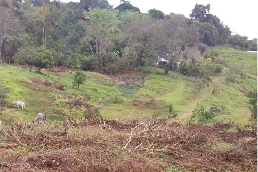Fazenda Marimarta Ouro da Bahia!