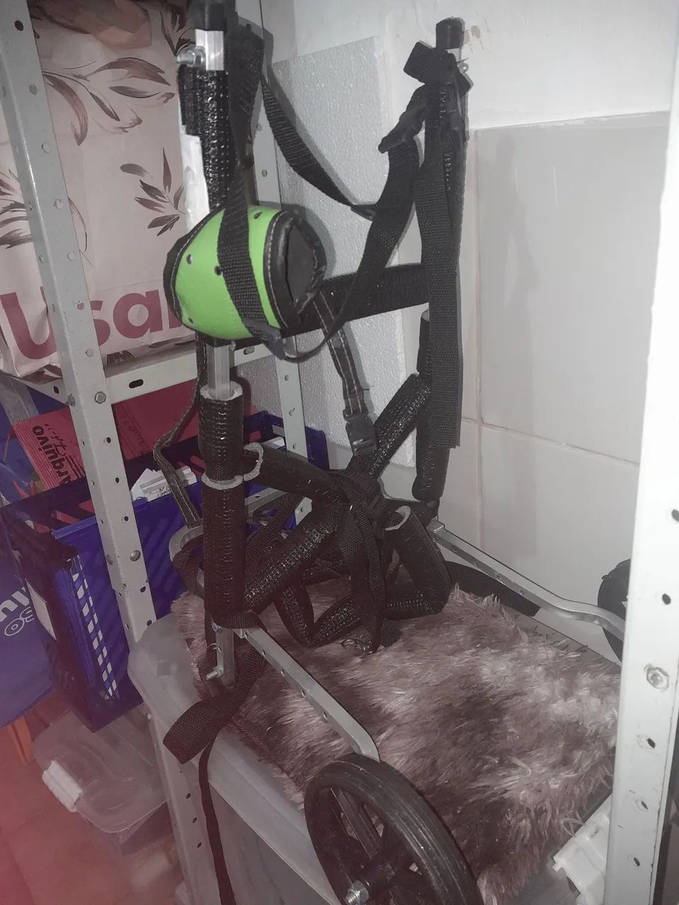 Cadeira para cachorro