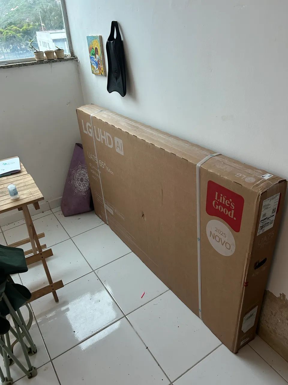Televisão