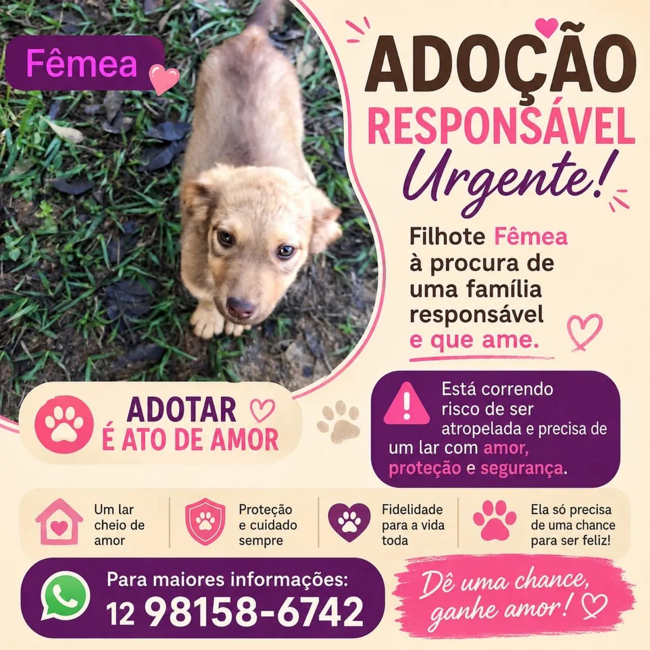 Adoção responsável urgente? - Foto 2