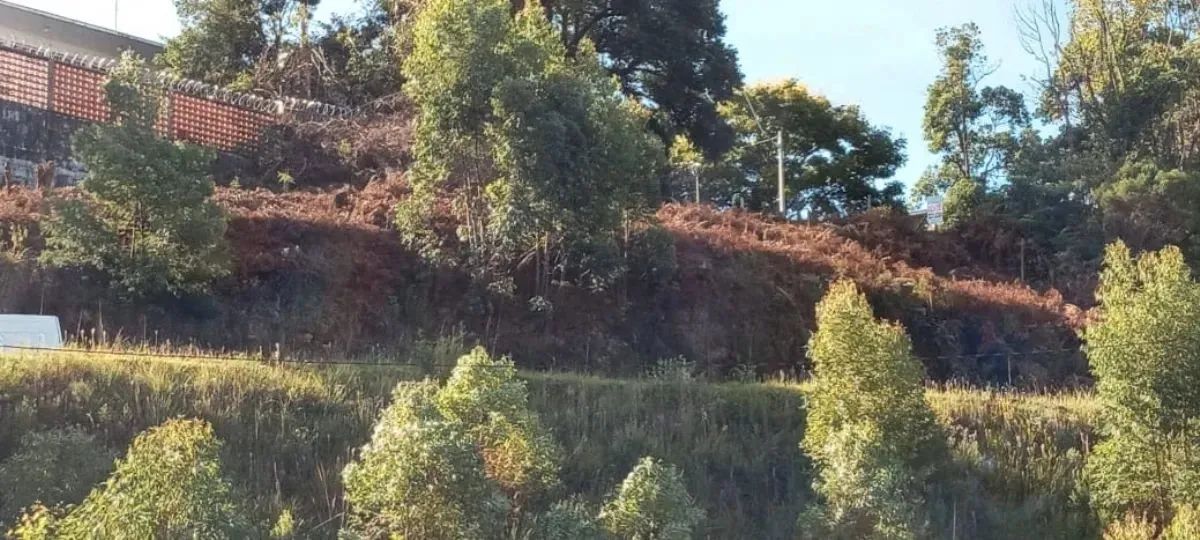 CAXIAS DO SUL - Terreno Padrão - CINQUENTENÁRIO - Foto 10