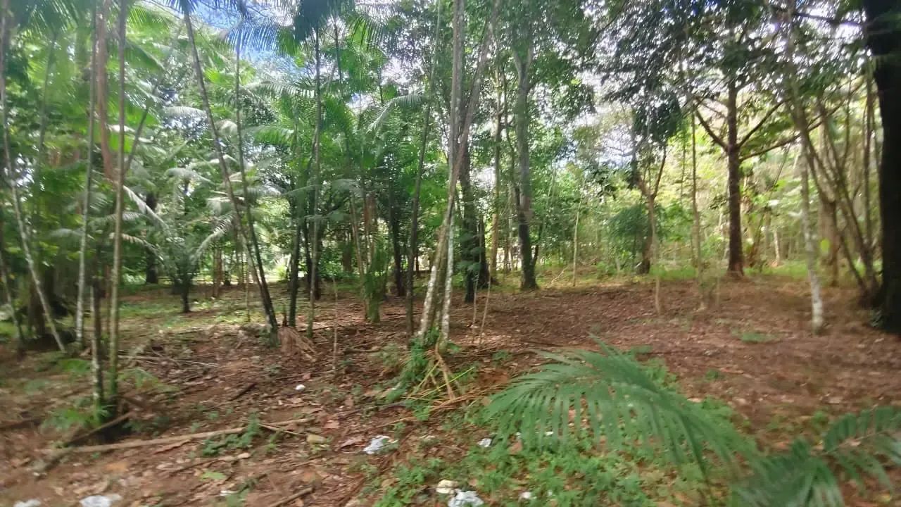 Sítio Terreno em Marituba - Foto 5