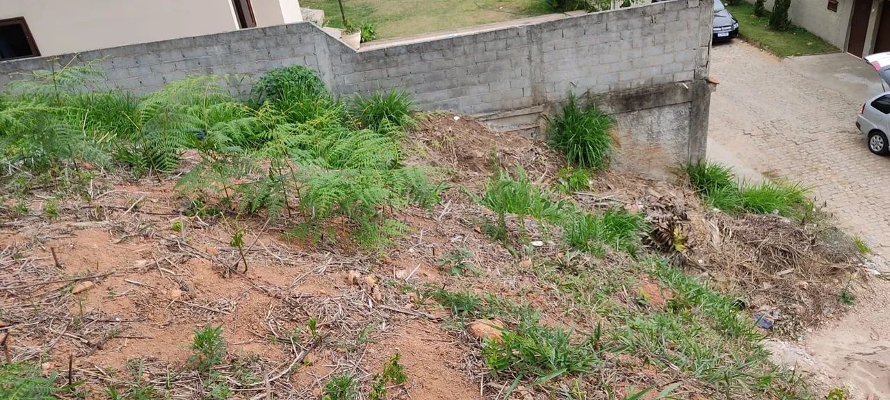 Excelente Terreno nas Braunes - Foto 5
