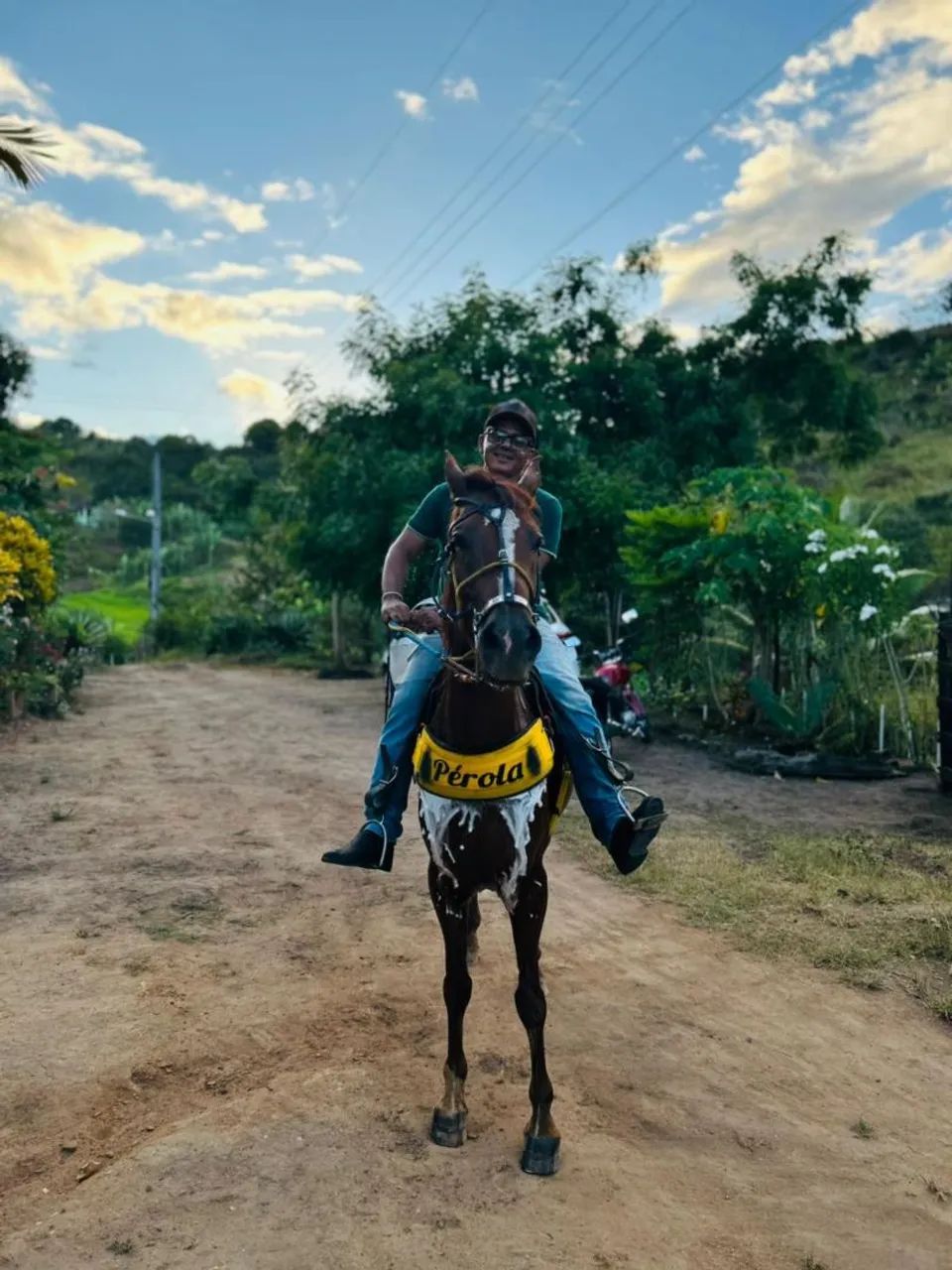 Vendo um cavalo manga larga marcha picada da idade de 5 anos andando muinto falar no zap   - Foto 4