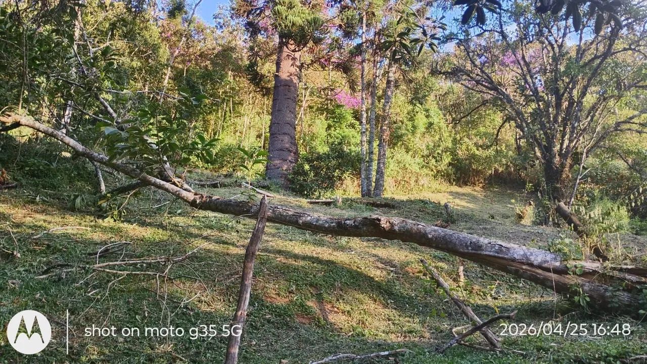 Terreno próximo Visconde de Mauá - Foto 4