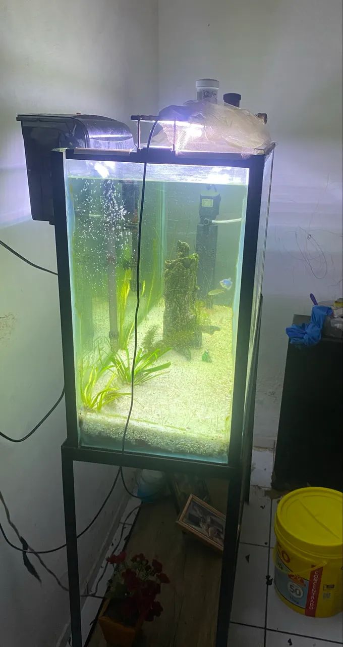 Vendo Aquário com estrutura metálica  - Foto 3