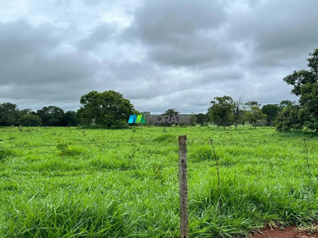 FAZENDA À VENDA - 97 HECTARES - CURVELO (MG) - Foto 4