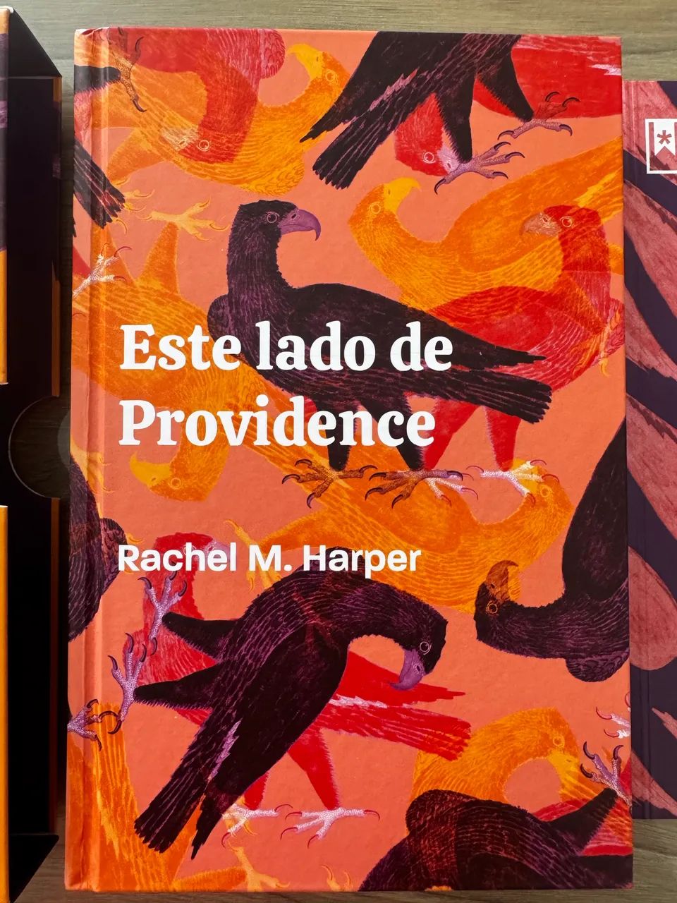 Livro TAG Este lado de Providence - Foto 2