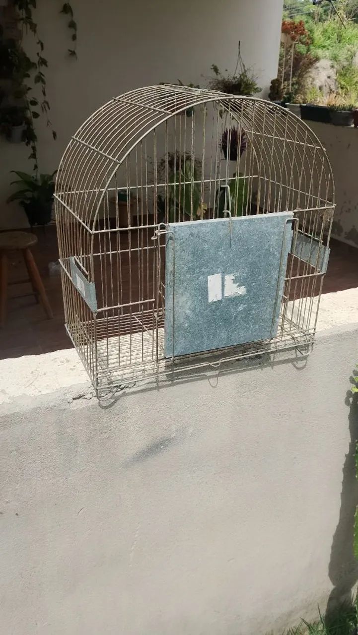 Gaiola  - Foto 2
