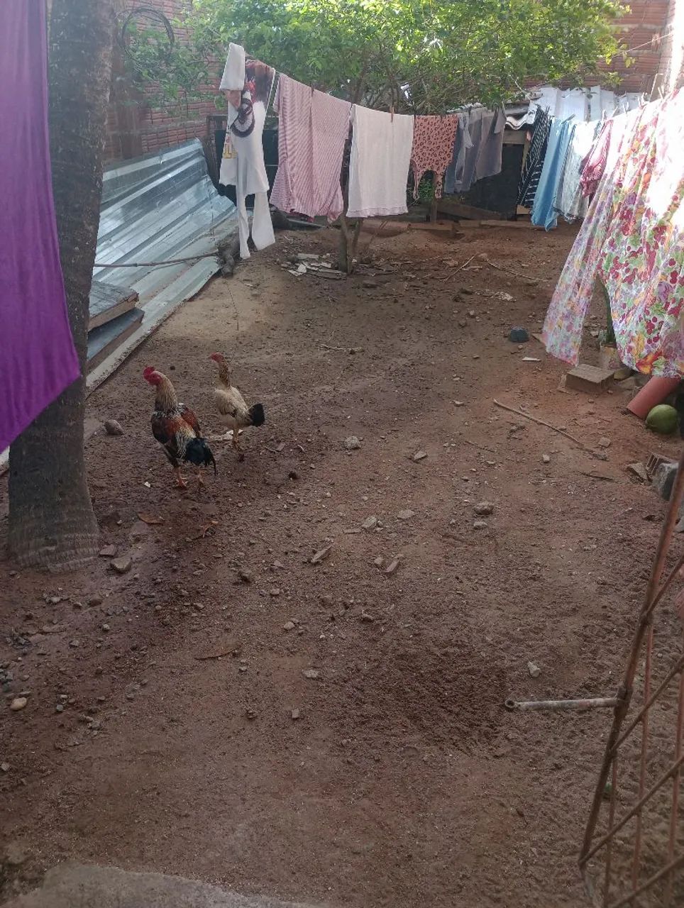 Vendo casa com terreno ao lado e um ótimo quintal  - Foto 3