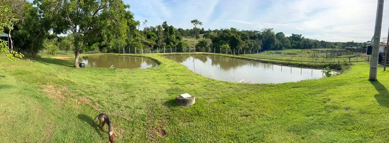 Vende chácara perto Guapó  - Foto 4