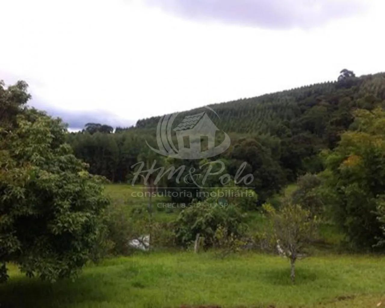 Sítio à venda em Guareí, Aristides da Costa Barros, com 6 quartos, com 12000 m² - Foto 5