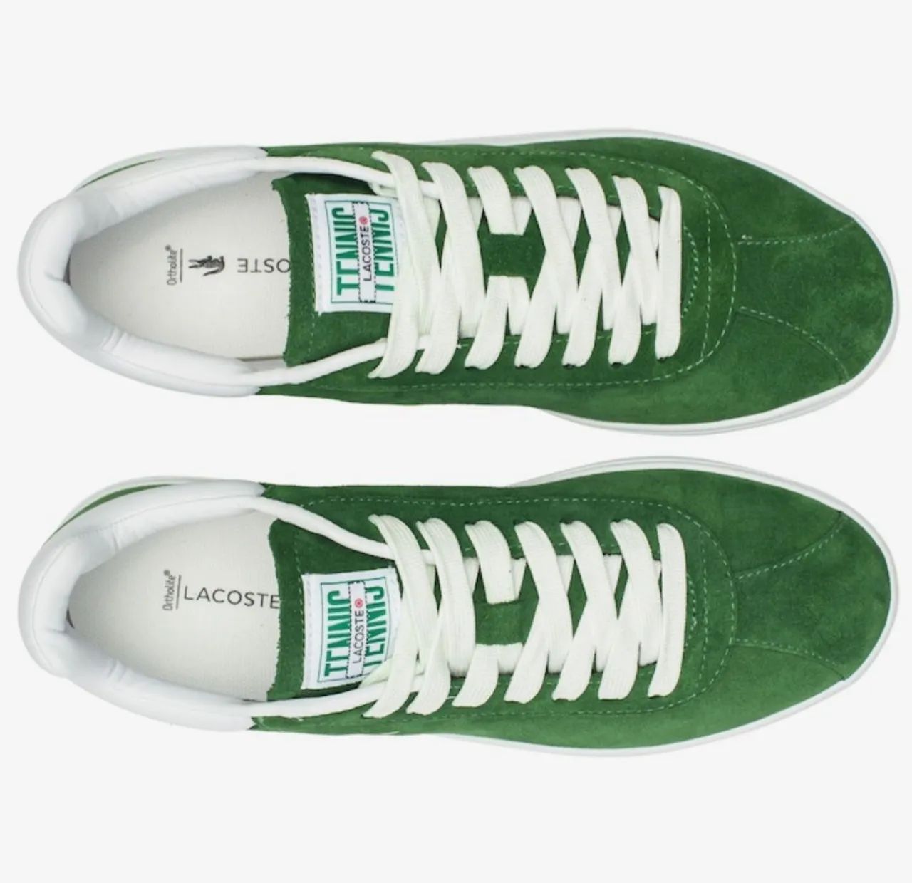 Lacoste oficial do 38 ao 43
