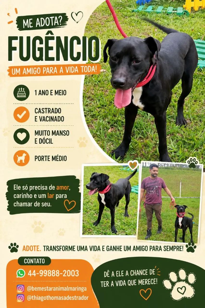 Doação Dócil e companheiro