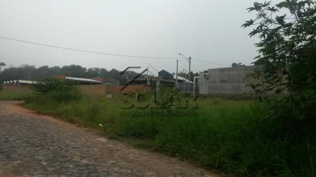 Terreno à venda em Arroio da manteiga, São leopoldo cod:3375 - Foto 5
