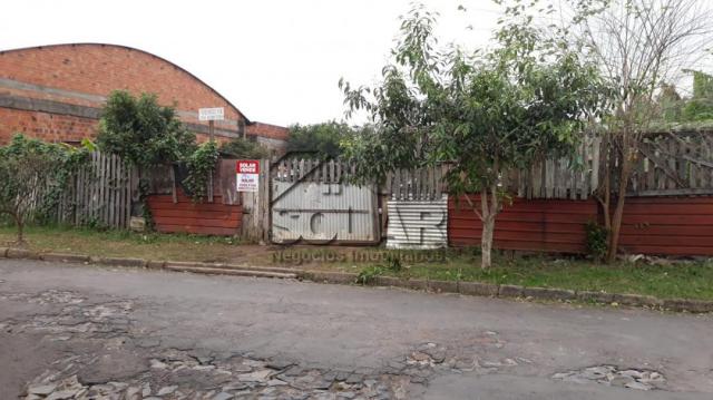 Terreno à venda em Vicentina, São leopoldo cod:2970