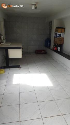 Casa à venda com 2 dormitórios em Glória, Belo horizonte cod:536499 - Foto 12
