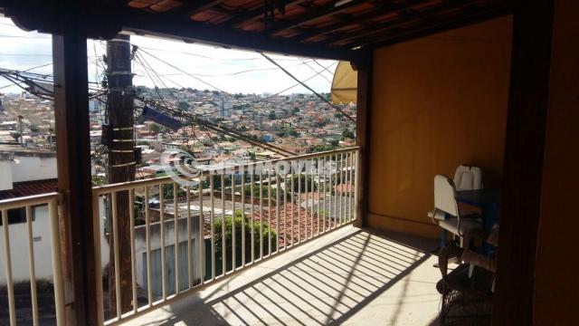 Casa à venda com 3 dormitórios em Glória, Belo horizonte cod:610440 - Foto 14