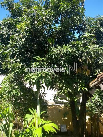 Casa à venda com 3 dormitórios em São salvador, Belo horizonte cod:729459 - Foto 18