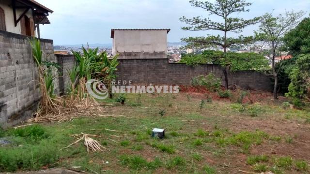 Terreno à venda em Cenáculo, Belo horizonte cod:646005