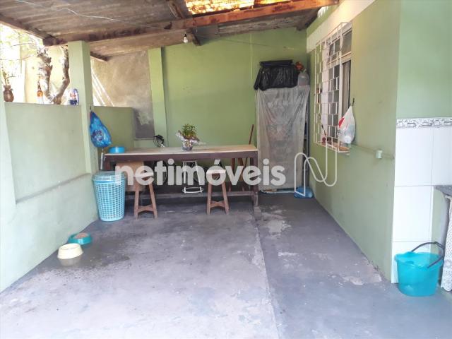 Casa à venda com 3 dormitórios em Alípio de melo, Belo horizonte cod:721345 - Foto 9